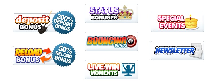 Bonus Bingo Cams